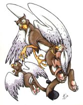 griffins.jpg by Sandra Gaeremynck (Sandy)