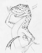 leoske.jpg by Colleen Phillips (Catnel)