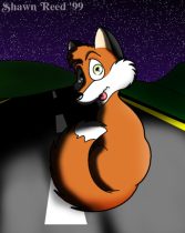 sar-road.jpg by Shawn Reed (Leonid)
