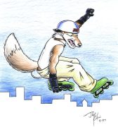 skatefox.jpg by Jimmy Chin (Kohii, Bunnell, Yippee Coyote)