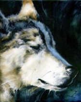 akr.jpg by Timothy Albee (Amadhi)