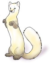 mel-140.jpg by Melissa Drake (MelSkunk, Jabet)