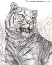 tigerchar.jpg by J.C. Amberlyn (DesertCoyote)
