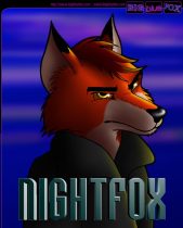bbfnight.jpg by Karsten Auchter (BigBlueFox)