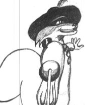 zorro1.jpg by Michael Maimone (Kendel)