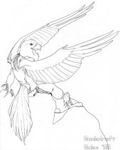 bdraft.jpg by Tiffany Ross (Syke)