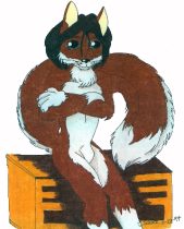 quenfoxm.jpg by Jessica Schock (Aechla, Jesslyn)