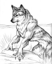 mexwere.gif by Megan Giles (SpaceCat)