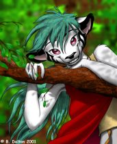 branch.jpg by Brady Dalton