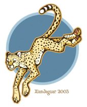 cheetahxian1.jpg by XianJaguar
