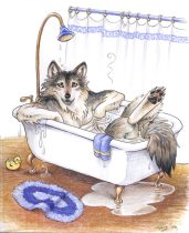 wolfbath.jpg by Megan Giles (SpaceCat)