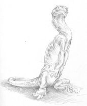 amfib.jpg by Cara Mitten