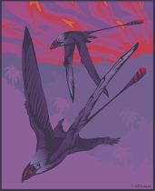 dimorphodon.jpg by Susan Morgan (DeNonikus, Shoes, Chasmosaur)