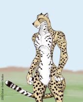 break.jpg by Jason Williams (Ocicat)