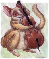 bushbaby.jpg by Erin Middendorf (Dingbat)