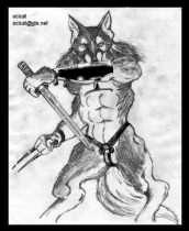 barhusk.jpg by Jason Williams (Ocicat)