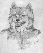 zillywuf.jpg by Kimberly Pyne (T'Kuro Grym)
