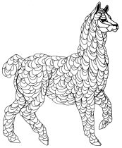alpaca.gif by Xenia Eliassen (Swandog)