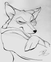 amadhi_nightfox.jpg by Timothy Albee (Amadhi)