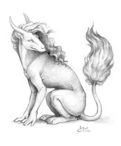 black_dragon1.jpg by Janis Neville (starfallz)