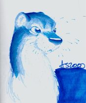 otter3.jpg by Ainsley Seago