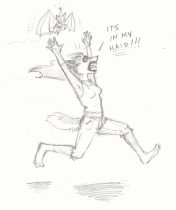 bdaydingbat2.jpg by L.N. Dornsife (Thornwolf)