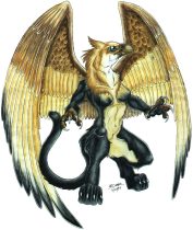 griffon.jpg by Kristin Deeds