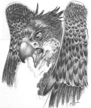 gryphie.jpg by Kristin Deeds