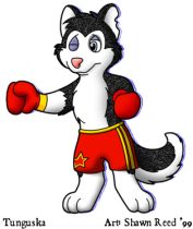 sar-tung.jpg by Shawn Reed (Leonid)