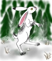 frostdnc.jpg by Heather Fieldhouse (BunnyHugger, Ringo)