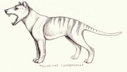 thylacine.jpg by L.N. Dornsife (Thornwolf)