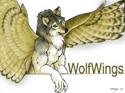 wolfwing.jpg by Megan Giles (SpaceCat)