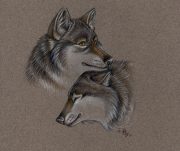 togetherwolves.jpg by L.N. Dornsife (Thornwolf)