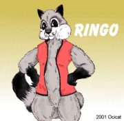 ringo.jpg by Jason Williams (Ocicat)