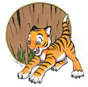 tigrbaby.gif by Monica Raquel Meza (Monica MtLion, Pokemonica)