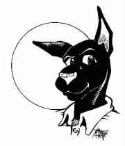 blkkitty.jpg by Brenden Smith (Kangaroo-Boy)