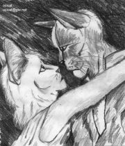 catlove.jpg by Jason Williams (Ocicat)