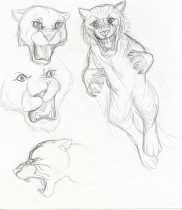 tigersk.jpg by Gloria Higginbottom (Twap, Snitter)