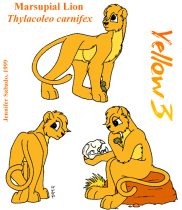 yellow3.gif by Jennifer Sabado (Seth, Tora)
