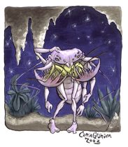 ambly.jpg by Carrie Graham (Velvet)