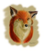 k-foxhead.jpg by Paul Mason (Kooky)