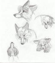 erinsk2.jpg by Gloria Higginbottom (Twap, Snitter)