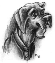 bushdog.jpg by Meike Thomas (DoodLeS)