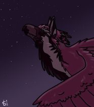 amoo.jpg by Sarah Troutman (Maui)