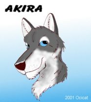 akira.jpg by Jason Williams (Ocicat)