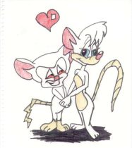 batb.jpg by Angela Barefield (Meeka the Cat)