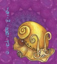mysterysnail.jpg by Anna Pieruccini