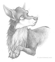 aaawcute.jpg by Jenn Rodriguez (PacRat)