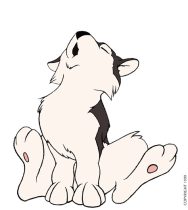 arooroo.jpg by Timothy Albee (Amadhi)