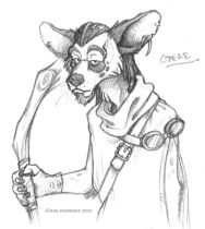 gear.jpg by Jenn Rodriguez (PacRat)